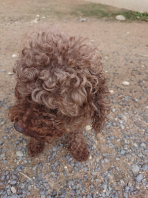 f:id:roukenhome-ann:20190611185144j:plain