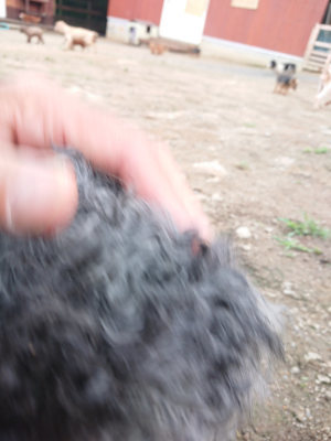 f:id:roukenhome-ann:20190611185149j:plain