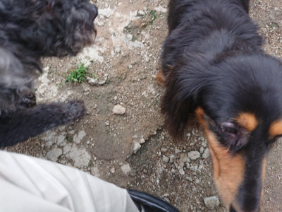 f:id:roukenhome-ann:20190611185154j:plain