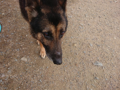 f:id:roukenhome-ann:20190611185200j:plain