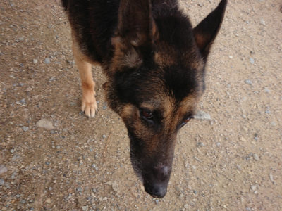 f:id:roukenhome-ann:20190611185207j:plain