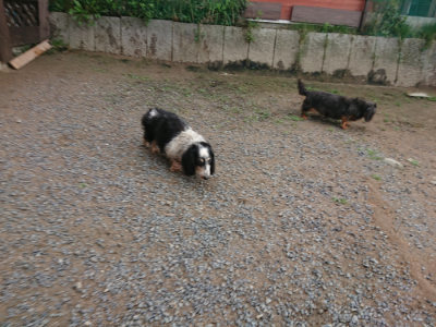 f:id:roukenhome-ann:20190611185218j:plain