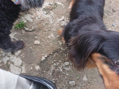 f:id:roukenhome-ann:20190611185224j:plain