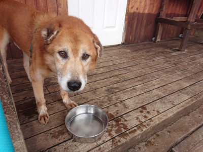 f:id:roukenhome-ann:20190611185229j:plain