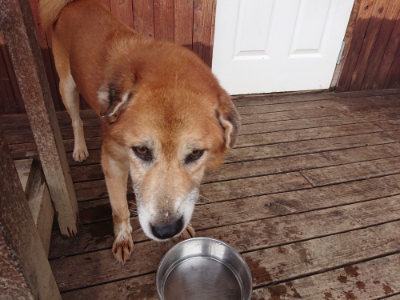 f:id:roukenhome-ann:20190611185234j:plain