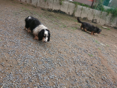 f:id:roukenhome-ann:20190611185240j:plain