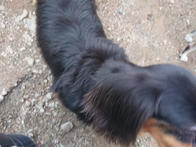 f:id:roukenhome-ann:20190611185245j:plain