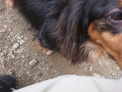 f:id:roukenhome-ann:20190611185251j:plain