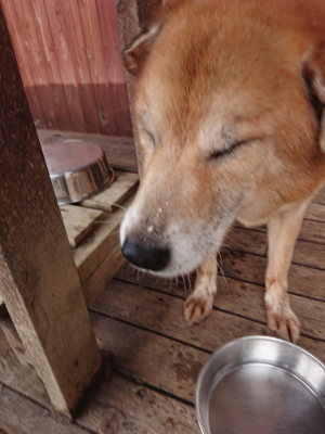 f:id:roukenhome-ann:20190611185257j:plain