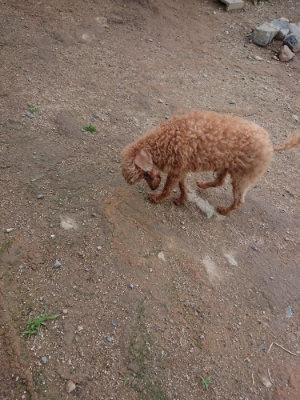 f:id:roukenhome-ann:20190611185358j:plain