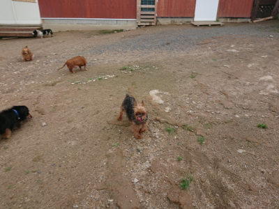 f:id:roukenhome-ann:20190611185404j:plain