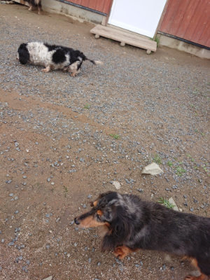 f:id:roukenhome-ann:20190611185409j:plain