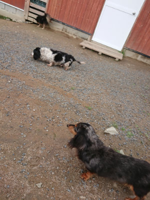 f:id:roukenhome-ann:20190611185416j:plain