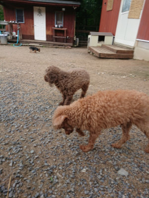 f:id:roukenhome-ann:20190611185421j:plain