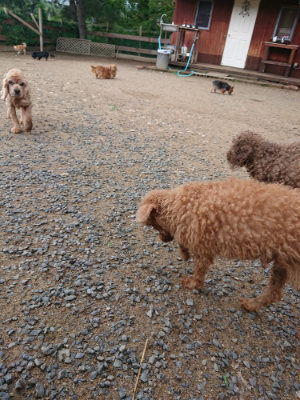 f:id:roukenhome-ann:20190611185427j:plain