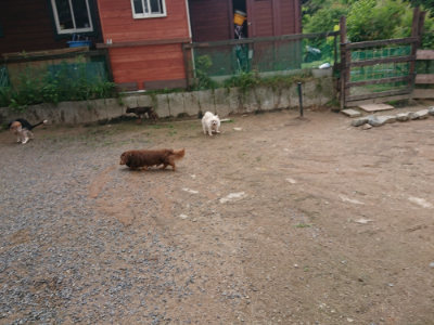 f:id:roukenhome-ann:20190611185444j:plain