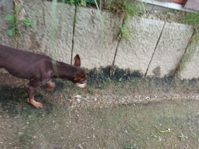 f:id:roukenhome-ann:20190611185454j:plain