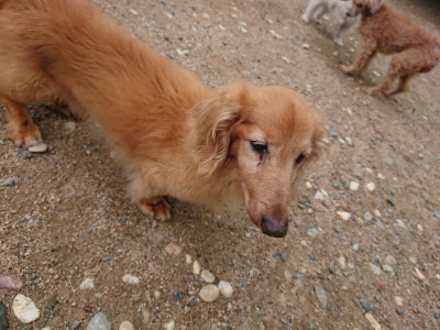 f:id:roukenhome-ann:20190611185500j:plain