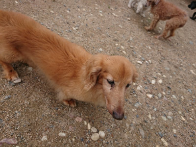 f:id:roukenhome-ann:20190611185506j:plain