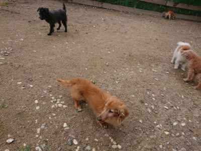 f:id:roukenhome-ann:20190611185516j:plain