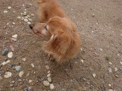 f:id:roukenhome-ann:20190611185521j:plain