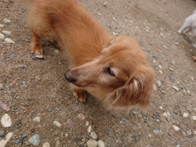 f:id:roukenhome-ann:20190611185526j:plain