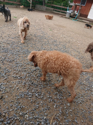 f:id:roukenhome-ann:20190611185538j:plain