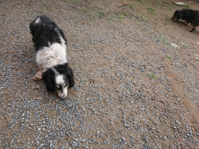 f:id:roukenhome-ann:20190611185544j:plain