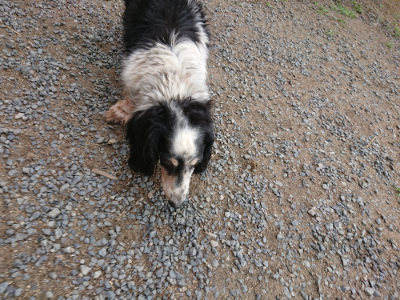 f:id:roukenhome-ann:20190611185600j:plain