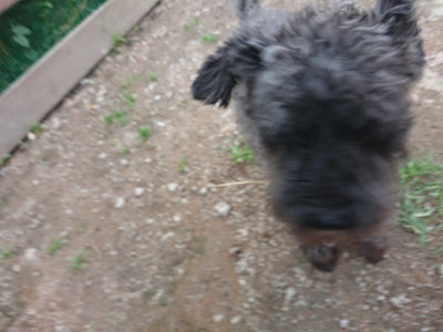 f:id:roukenhome-ann:20190611185606j:plain