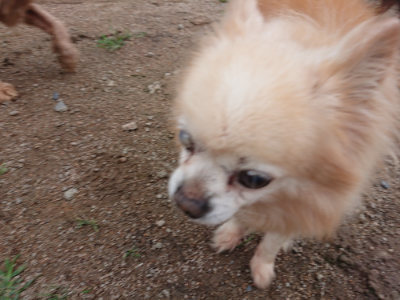 f:id:roukenhome-ann:20190611185611j:plain