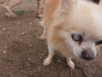 f:id:roukenhome-ann:20190611185630j:plain