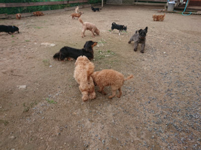 f:id:roukenhome-ann:20190611185647j:plain