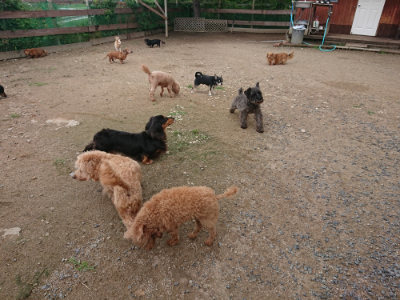 f:id:roukenhome-ann:20190611185653j:plain