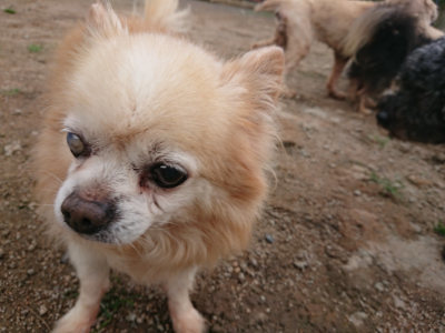 f:id:roukenhome-ann:20190611185659j:plain