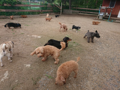 f:id:roukenhome-ann:20190611185709j:plain