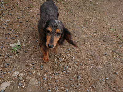 f:id:roukenhome-ann:20190611185714j:plain