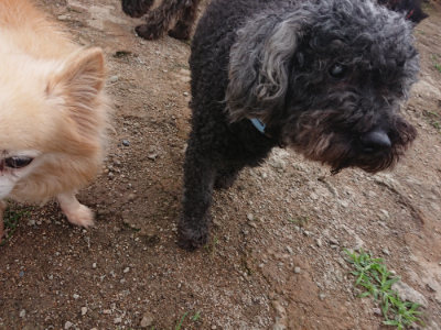 f:id:roukenhome-ann:20190611185722j:plain