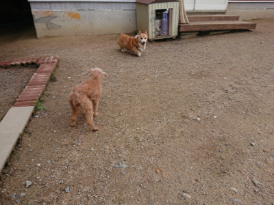 f:id:roukenhome-ann:20190611185728j:plain