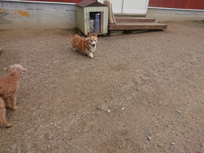 f:id:roukenhome-ann:20190611185735j:plain