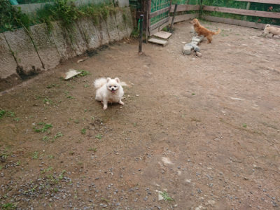 f:id:roukenhome-ann:20190611185743j:plain