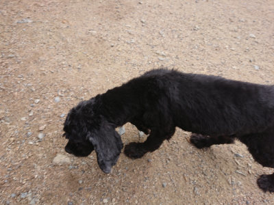 f:id:roukenhome-ann:20190611185756j:plain