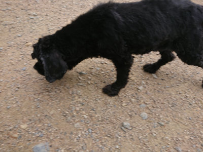 f:id:roukenhome-ann:20190611185816j:plain