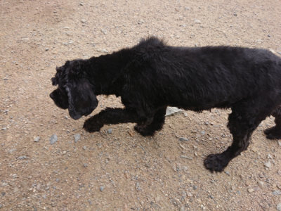 f:id:roukenhome-ann:20190611185821j:plain