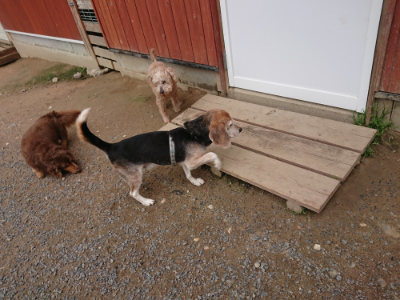 f:id:roukenhome-ann:20190611185828j:plain