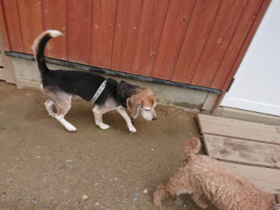 f:id:roukenhome-ann:20190611185833j:plain