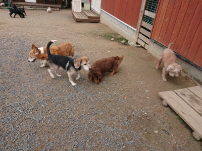 f:id:roukenhome-ann:20190611185843j:plain