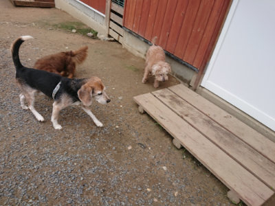 f:id:roukenhome-ann:20190611185848j:plain