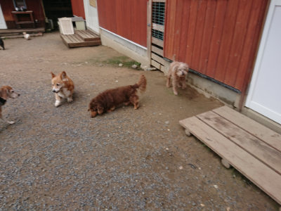 f:id:roukenhome-ann:20190611185905j:plain