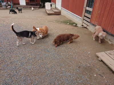 f:id:roukenhome-ann:20190611185911j:plain